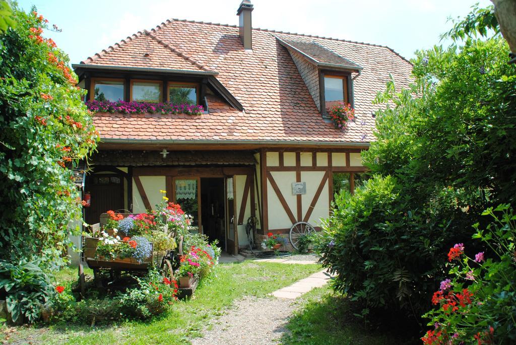 Bed and Breakfast Le Neufeld Oberhaslach Exterior foto